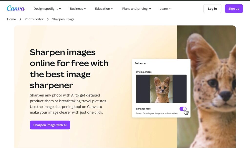 Canva AI untuk memperbaiki foto blur